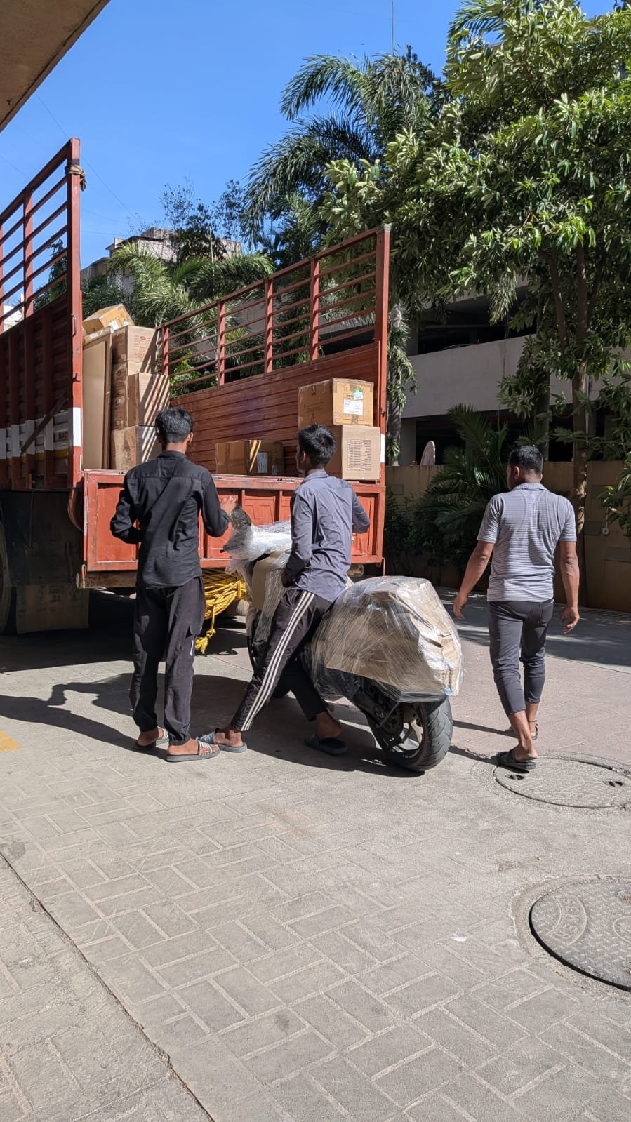 Bike Transportation Services